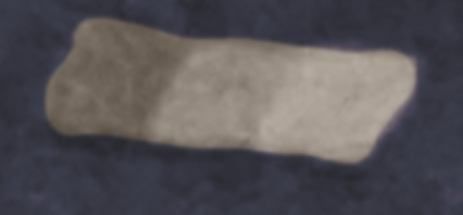 Screen Shot 2024-05-13 at 1.21.11 PM.png Screen Shot 2024-05-13 at 1.21.11 PM.png