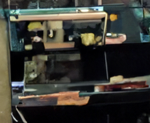 Screen Shot 2024-07-02 at 6.04.15 PM.png Screen Shot 2024-07-02 at 6.04.15 PM.png