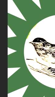 Screen Shot 2024-09-06 at 3.20.05 AM.png Screen Shot 2024-09-06 at 3.20.05 AM.png