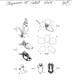 Scan 141020000.png Scan 141020000.png