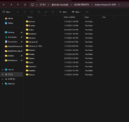 presets_2024_saved_on_external_drive.png