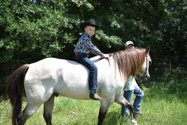 DSC_0041.JPG DSC_0041.JPG