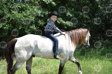 photo 1.jpg photo 1.jpg