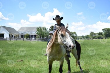 photo 3.jpg photo 3.jpg