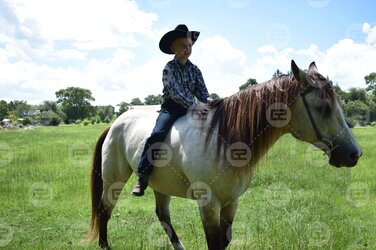 photo 4.jpg photo 4.jpg