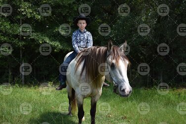 photo 5.jpg photo 5.jpg