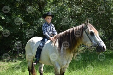 photo 6.jpg photo 6.jpg