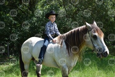 photo 7.jpg photo 7.jpg