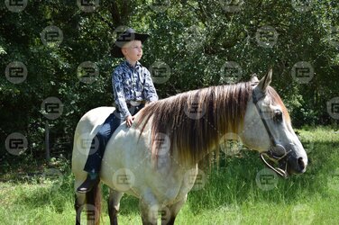 photo 8.jpg photo 8.jpg