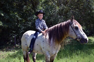 DSC_0020-Proof.jpg DSC_0020-Proof.jpg