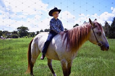 DSC_0037-Proof.jpg DSC_0037-Proof.jpg