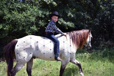 DSC_0041Proof.jpg DSC_0041Proof.jpg