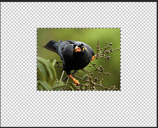 Screen Shot 2025-08-06 at 10.45.15 AM.png Screen Shot 2025-08-06 at 10.45.15 AM.png