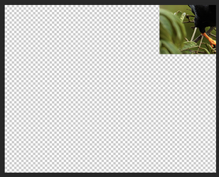 Screen Shot 2025-08-06 at 10.45.44 AM.png Screen Shot 2025-08-06 at 10.45.44 AM.png