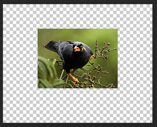 Screen Shot 2025-08-18 at 8.32.11 AM.png Screen Shot 2025-08-18 at 8.32.11 AM.png