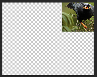 Screen Shot 2025-08-18 at 8.32.30 AM.png Screen Shot 2025-08-18 at 8.32.30 AM.png