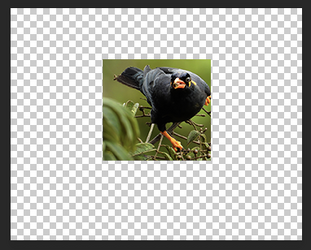 Screen Shot 2025-08-18 at 8.34.58 AM.png Screen Shot 2025-08-18 at 8.34.58 AM.png