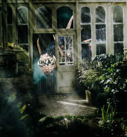 Dragon behind doorway.png