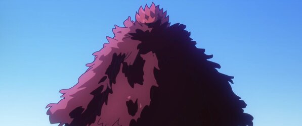 IMG_0251.jpeg IMG_0251.jpeg