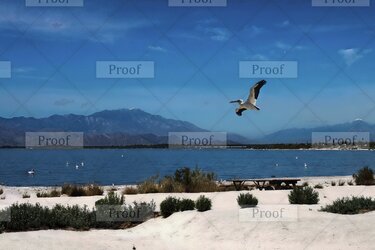 ae96e148-9846-43ee-88ff-eac5f25f05f8 copy-gigapixel-redefine-realistic-2x copyWM.jpg