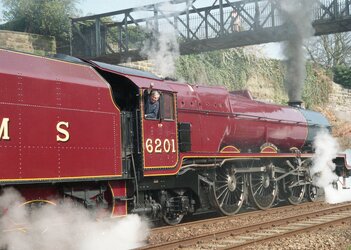 liz spot healed.jpg liz spot healed.jpg