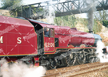 liz spot healed - 1.jpg liz spot healed - 1.jpg