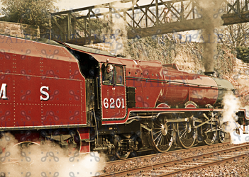 liz spot healed.png liz spot healed.png