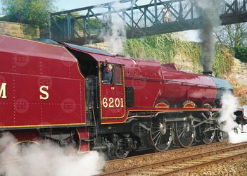 photo edit.jpg photo edit.jpg