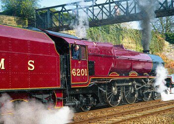 liz spot healed (1) Draft.jpg liz spot healed (1) Draft.jpg