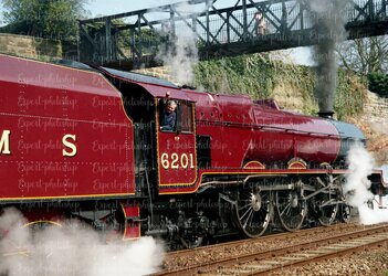 liz spot healed copia.jpg liz spot healed copia.jpg