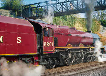 6201-no-watermark.jpg 6201-no-watermark.jpg