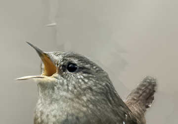 Screen Shot 2025-11-23 at 8.28.08 PM.png