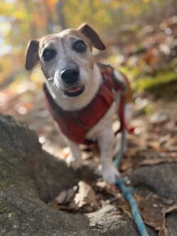 IMG_8768.jpeg IMG_8768.jpeg