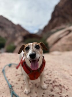 IMG_1572.jpeg IMG_1572.jpeg