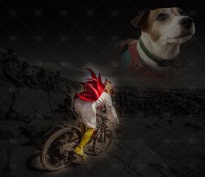 DirtyBird high res copy.jpg DirtyBird high res copy.jpg