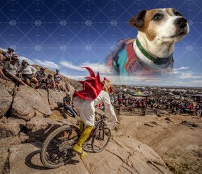 DirtyBird high res copy.jpg DirtyBird high res copy.jpg