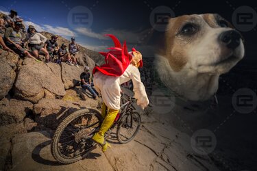 DirtyBird.jpg DirtyBird.jpg