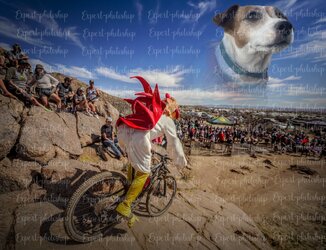 DirtyBird high res copia.jpg DirtyBird high res copia.jpg