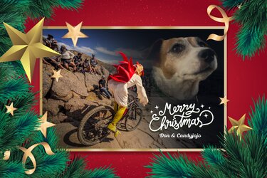 DirtyBird high res photoedit.jpg DirtyBird high res photoedit.jpg