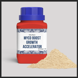 Screen Shot 2025-12-07 at 10.36.00 AM.png Screen Shot 2025-12-07 at 10.36.00 AM.png