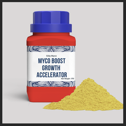 Screen Shot 2025-12-07 at 10.36.11 AM.png Screen Shot 2025-12-07 at 10.36.11 AM.png