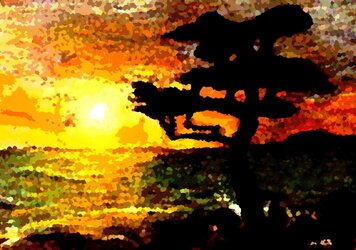 pic5 032cypress copy 2g.jpg