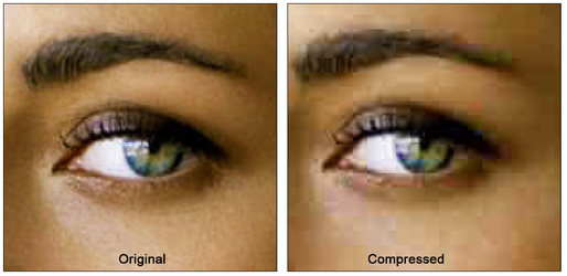 1766202353817.png 1766202353817.png