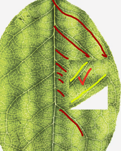 Screen Shot 2026-01-29 at 9.49.00 AM copy.png