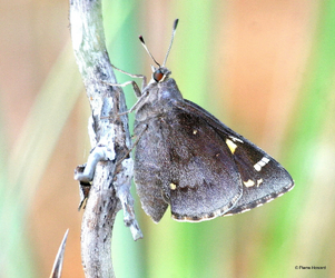 1776204250825.png 1776204250825.png