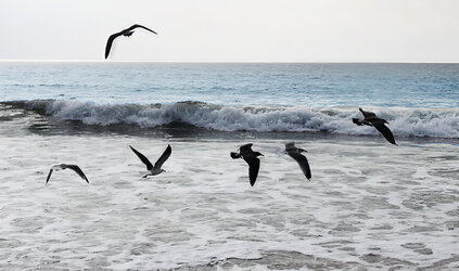 ocean-adjust-original-sRGB-profile-sharpened.jpg