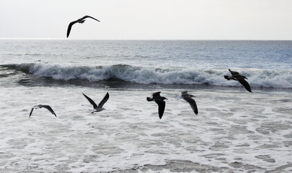 ocean-adjust-original-sRGB-profile-sharpened--blue-fade-in-from-middle.jpg