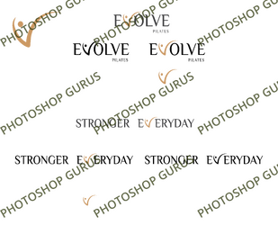 Evolve Logo - 1 - Copy.png Evolve Logo - 1 - Copy.png
