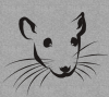 rodent2.png
