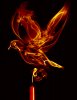 fire dove.jpg fire dove.jpg